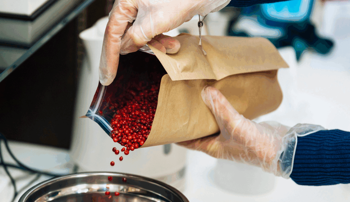 Main gantée versant des baies rouges d’un sachet kraft dans un bol en inox, illustrant la manipulation soignée d’épices africaines en laboratoire ou atelier artisanal.