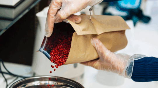 Main gantée versant des baies rouges d’un sachet kraft dans un bol en inox, illustrant la manipulation soignée d’épices africaines en laboratoire ou atelier artisanal.