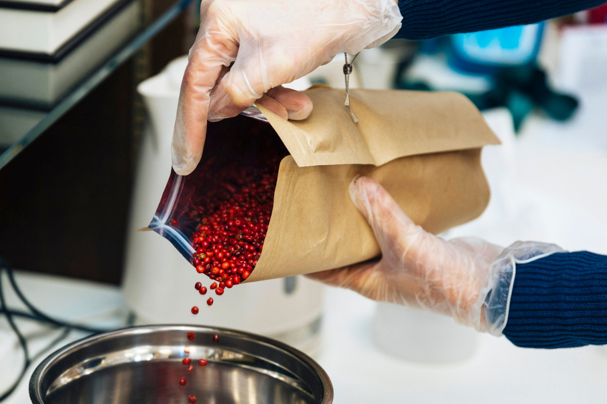 Main gantée versant des baies rouges d’un sachet kraft dans un bol en inox, illustrant la manipulation soignée d’épices africaines en laboratoire ou atelier artisanal.