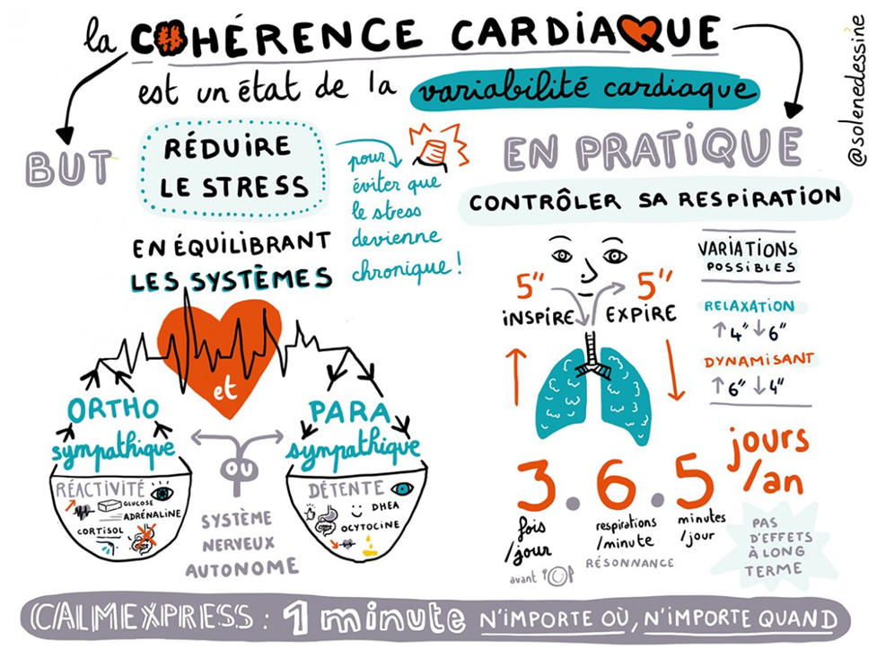Infographie illustrée expliquant la cohérence cardiaque, montrant le rôle de la respiration rythmée pour réduire le stress et équilibrer le système nerveux autonome.