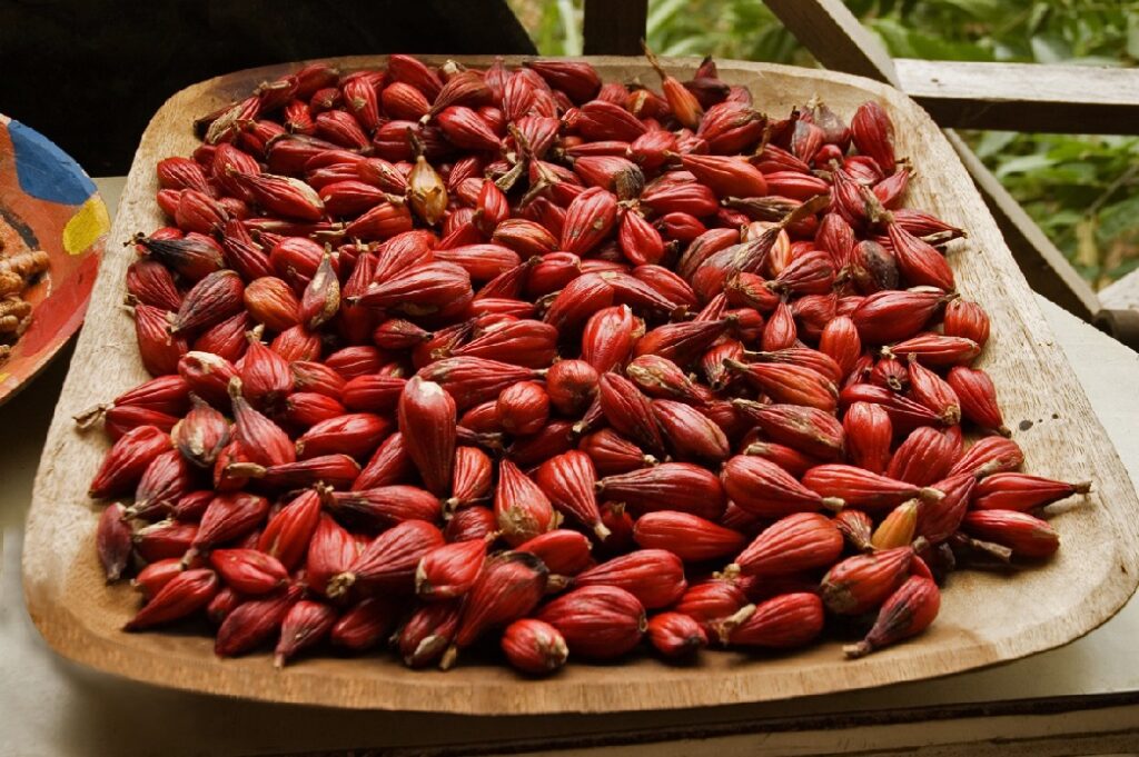 Graines de maniguette séchées, de couleur rouge-brun, présentées dans un plateau en bois, utilisées comme épice en Afrique de l’Ouest.