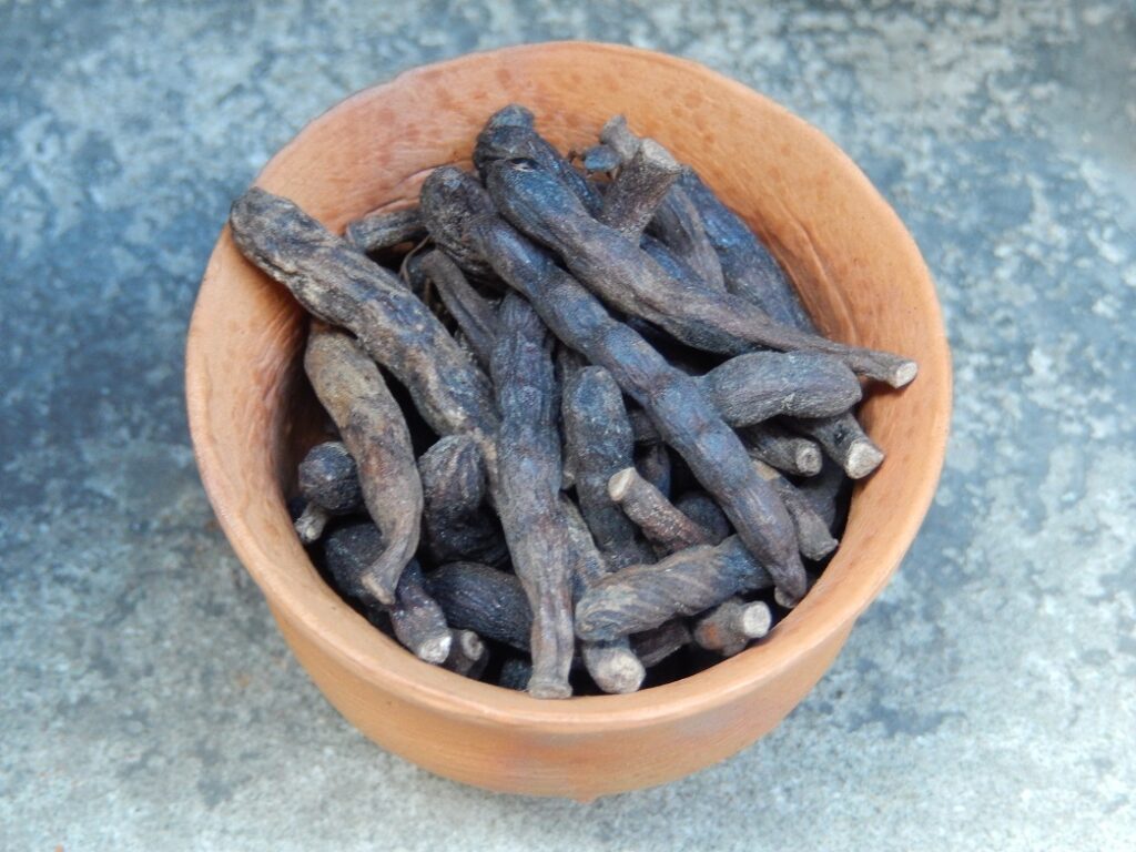 Gousses séchées de poivre de Guinée, aussi appelées graines de Sélim, présentées dans un bol en bois.