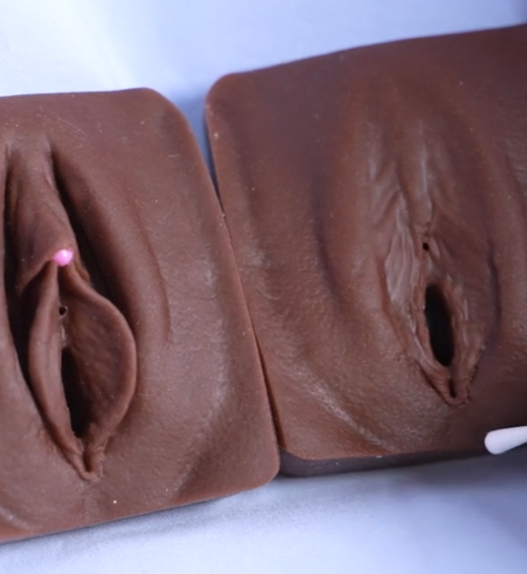 Modèles anatomiques de vulves montrant différentes configurations génitales féminines, utilisés à des fins de formation médicale et de recherche sur la sensibilité vulvo-clitoridienne.
