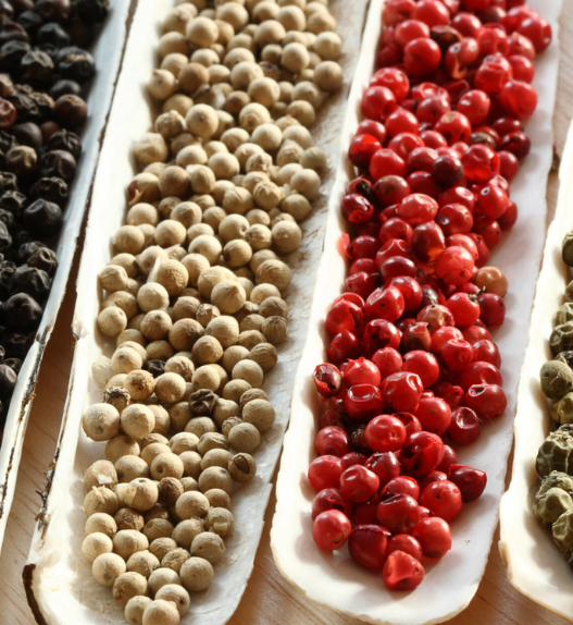 Quatre rangées de grains de poivre noir, blanc, rouge et vert alignées côte à côte sur des supports clairs, montrant visuellement leurs différences de couleur et d’aspect.
