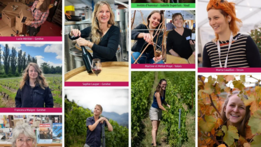 Montage de portraits de vigneronnes suisses participant au salon DiVINes ! 2026 à Rolle, venues notamment de Genève, du Valais et du Tessin.