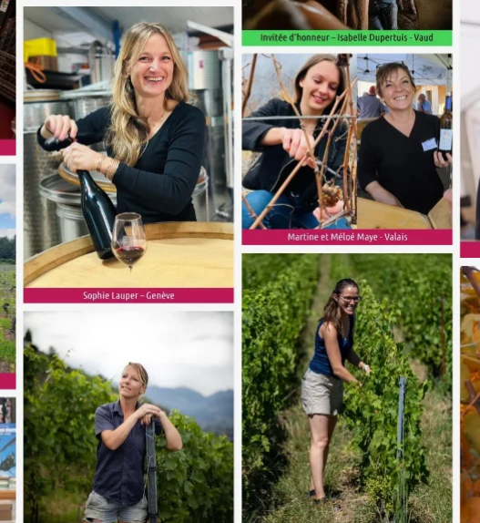Montage de portraits de vigneronnes suisses participant au salon DiVINes ! 2026 à Rolle, venues notamment de Genève, du Valais et du Tessin.